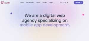 web development companies in Mesaieed